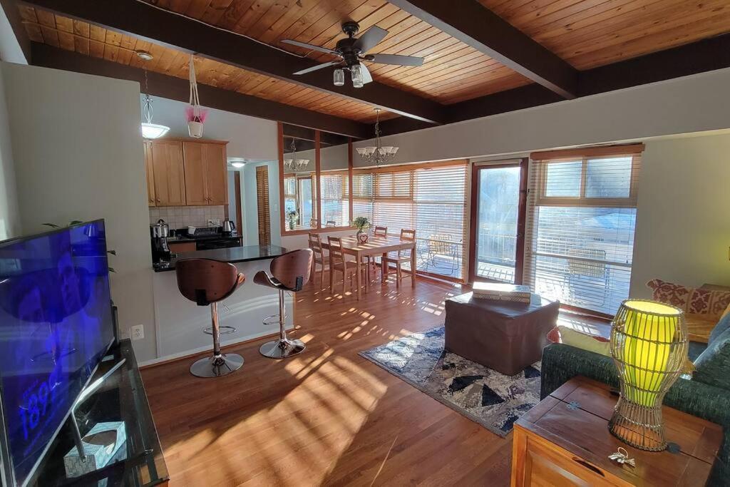 Entire One Bedroom Apartment Annandale Exterior photo