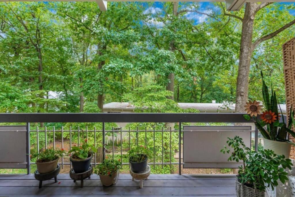 Entire One Bedroom Apartment Annandale Exterior photo