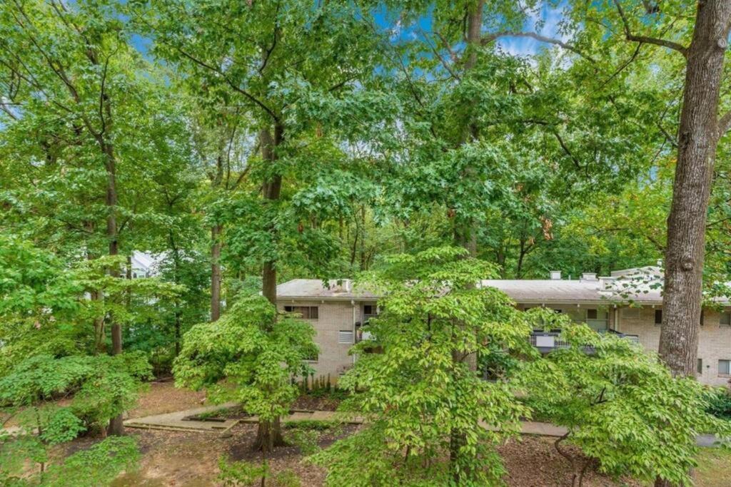 Entire One Bedroom Apartment Annandale Exterior photo