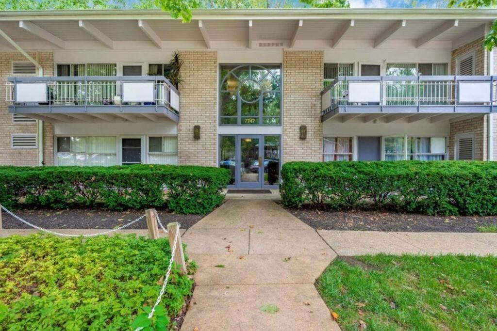 Entire One Bedroom Apartment Annandale Exterior photo