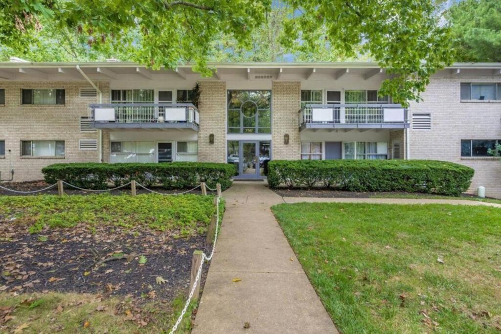 Entire One Bedroom Apartment Annandale Exterior photo