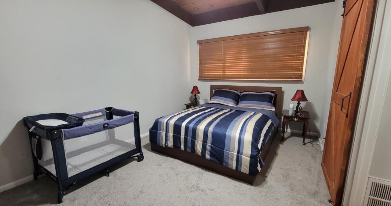 Entire One Bedroom Apartment Annandale Exterior photo