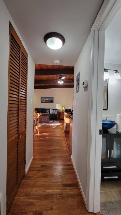 Entire One Bedroom Apartment Annandale Exterior photo