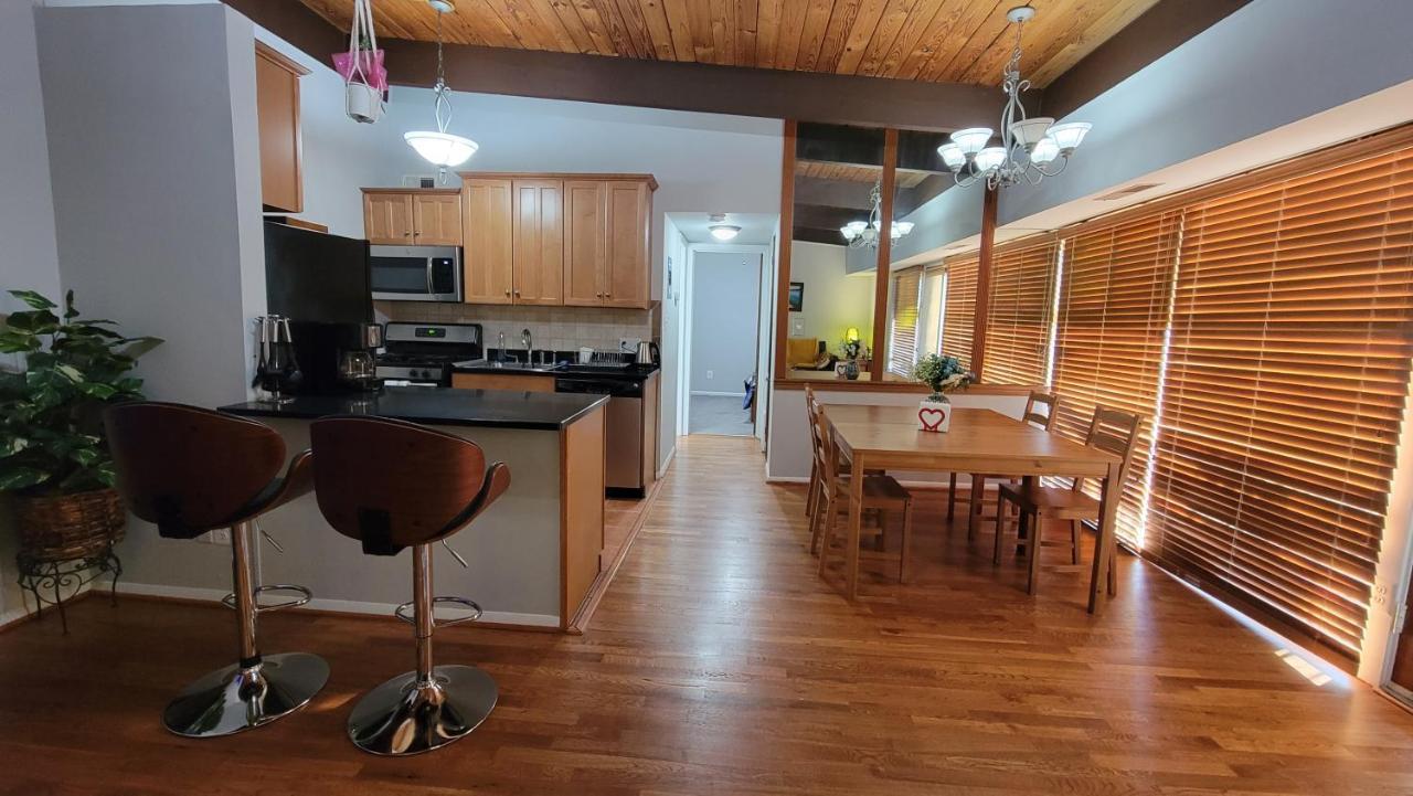 Entire One Bedroom Apartment Annandale Exterior photo
