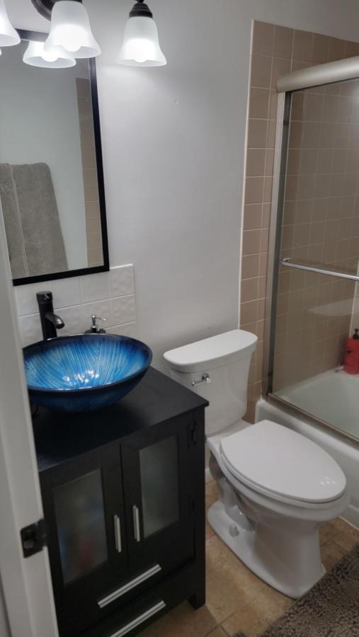Entire One Bedroom Apartment Annandale Exterior photo